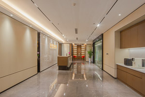 律师办公室摄影（特写部分）