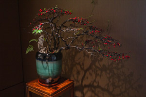 律师办公室摄影（特写部分）